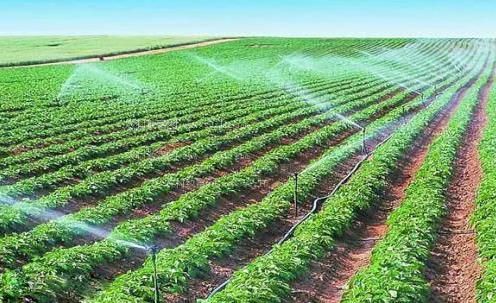 肉棒插逼视频农田高 效节水灌溉